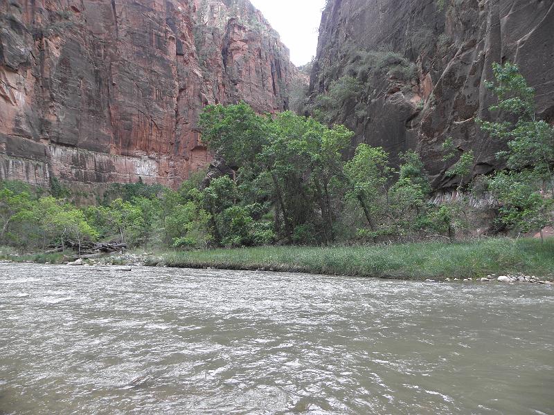 P6122049.JPG