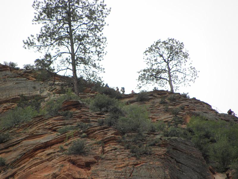 P6122058.JPG