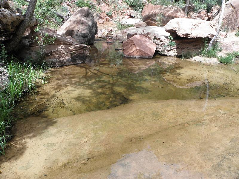 P6122090.JPG