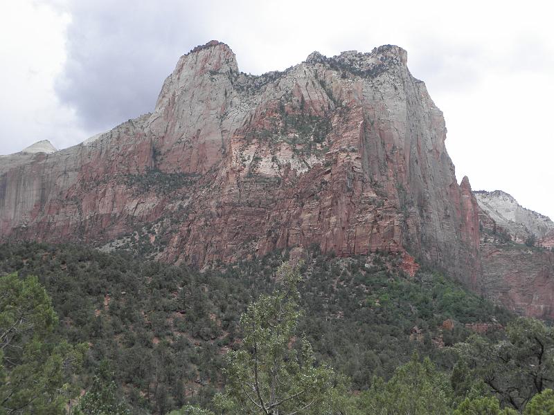 P6122117.JPG