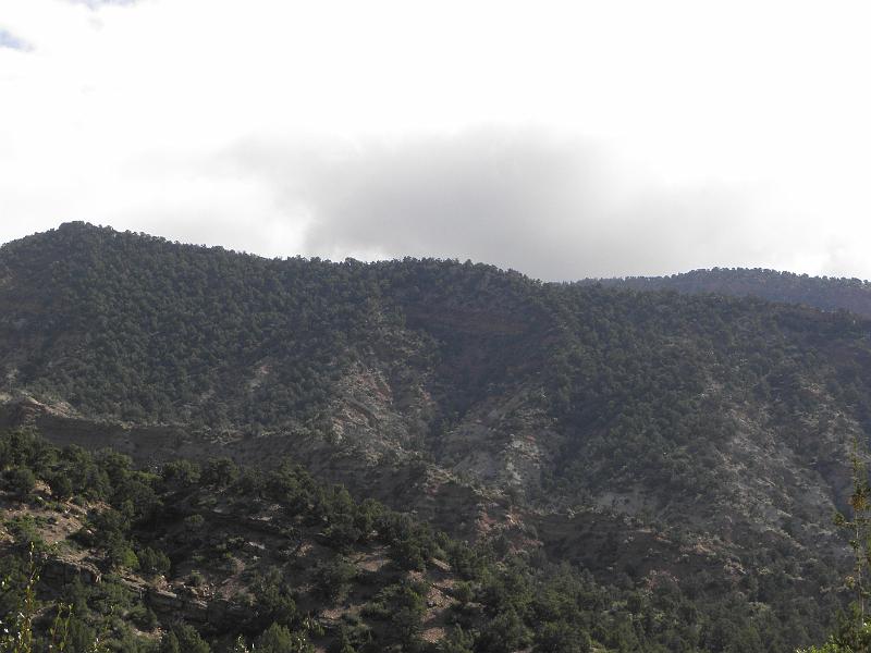 P6132146.JPG