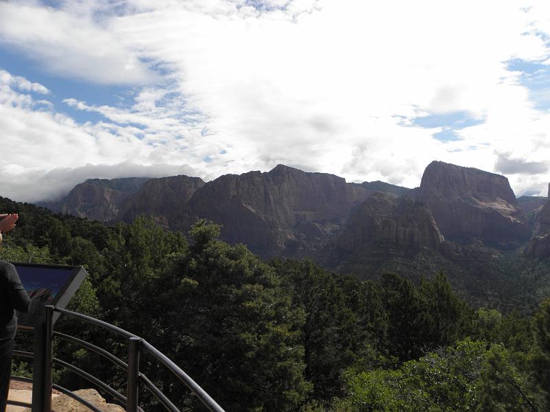P6132155.JPG