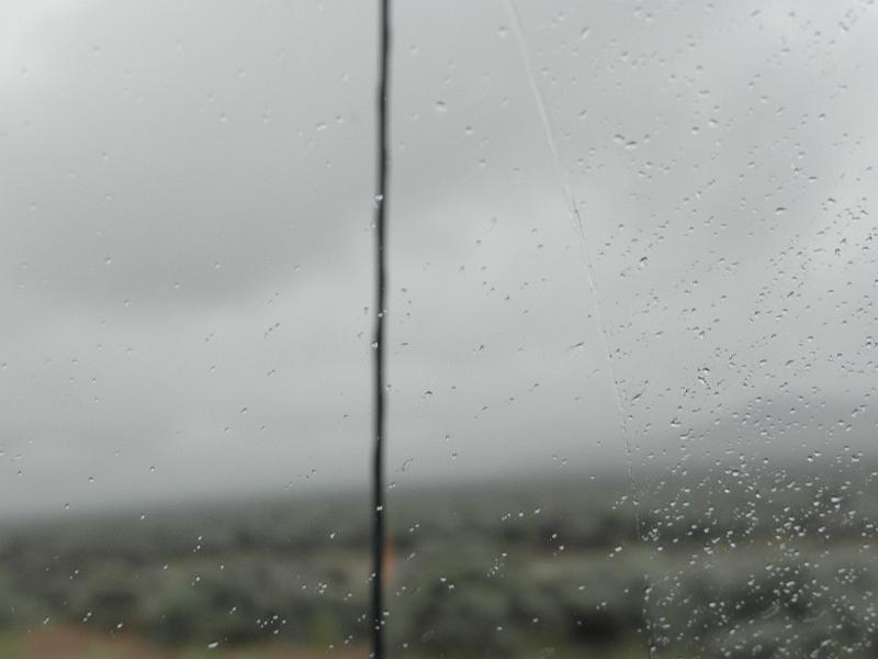 P6132219.JPG