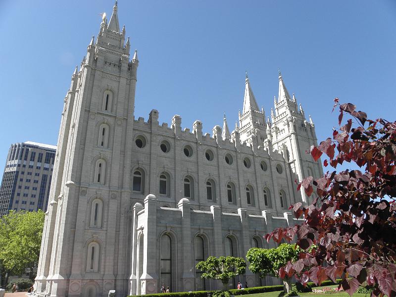P6152265.JPG
