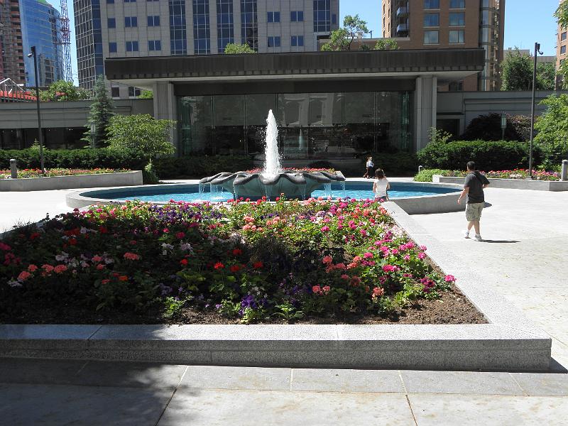 P6152270.JPG