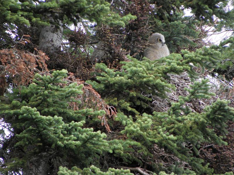 P5290144.JPG