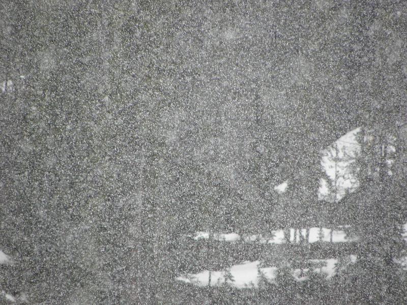 P5290162.JPG