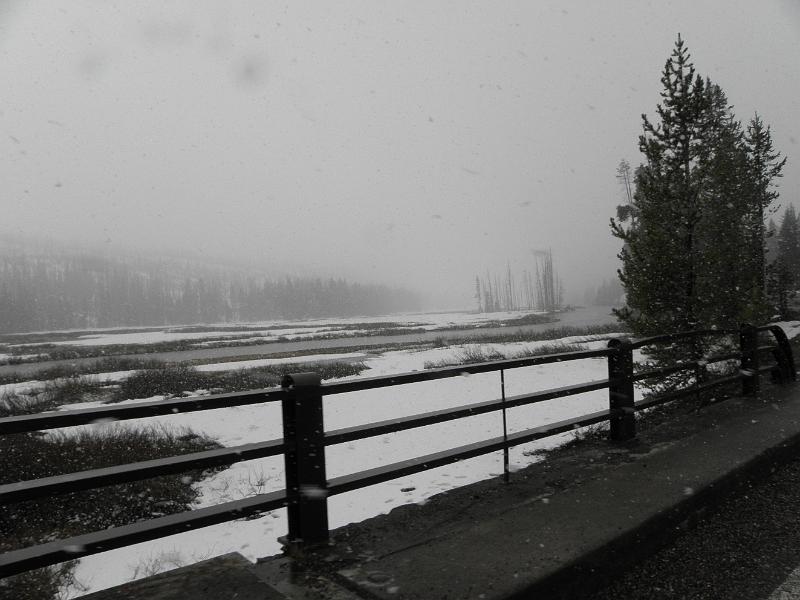 P5290175.JPG