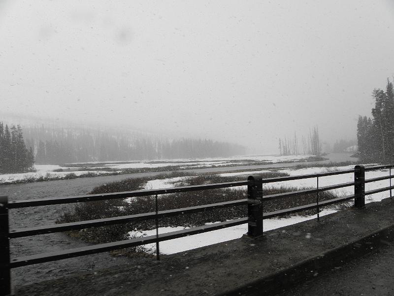 P5290176.JPG