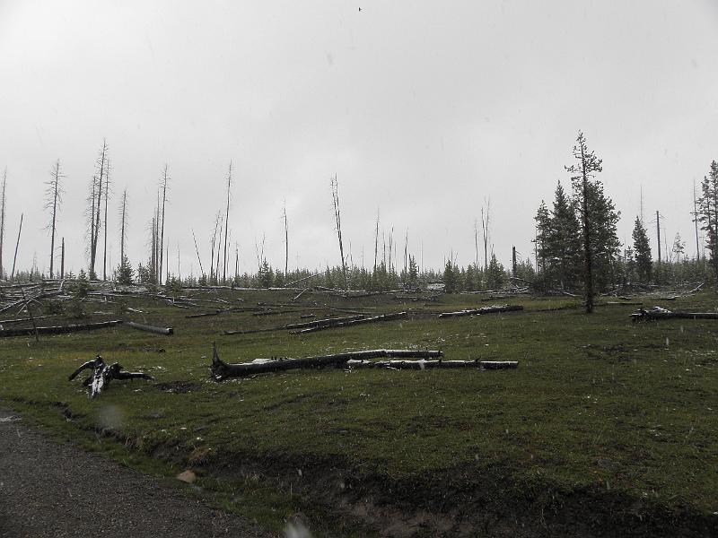 P5290182.JPG