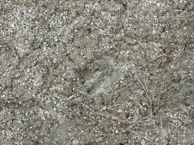 P5290202.JPG