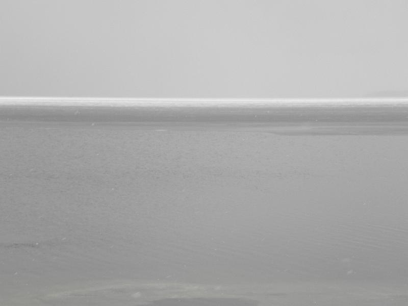 P5290205.JPG