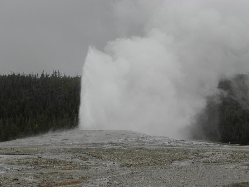 P5290285.JPG