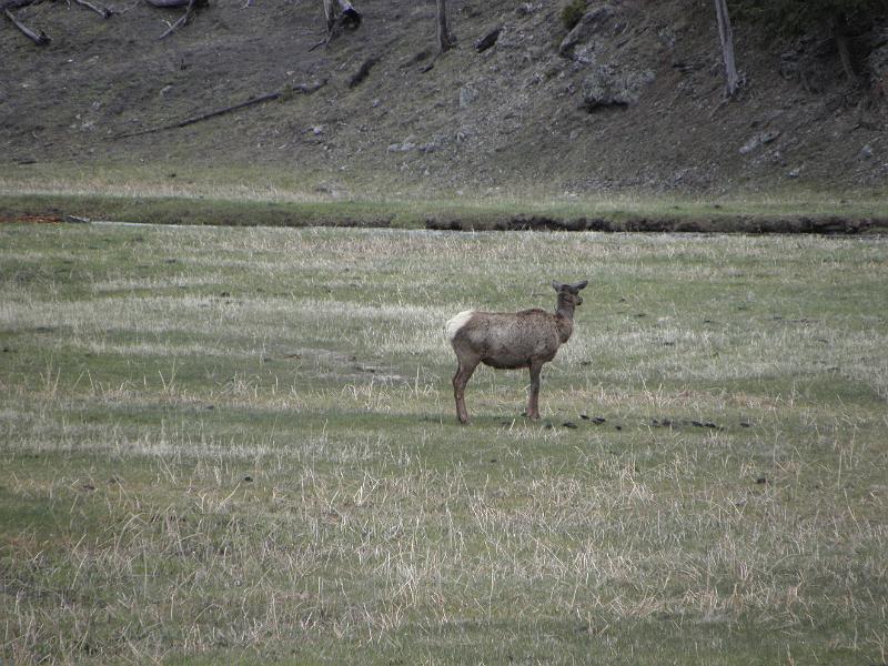 P5290379.JPG