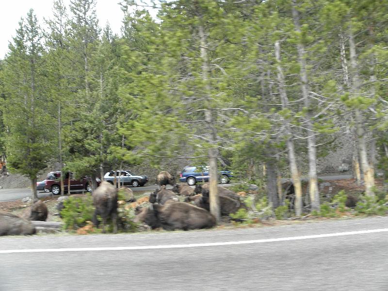 P5290386.JPG