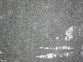 P5290162