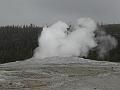 P5290278