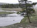 P5290327