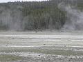 P5290377