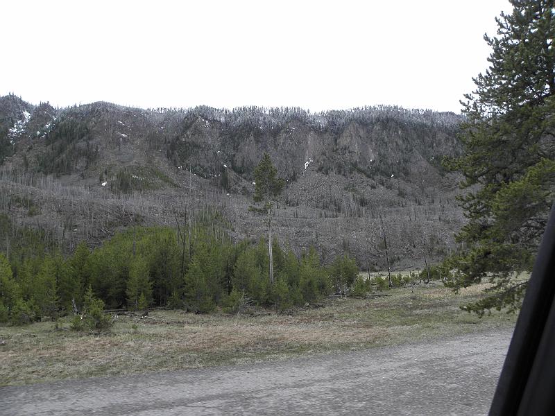 P5300401.JPG