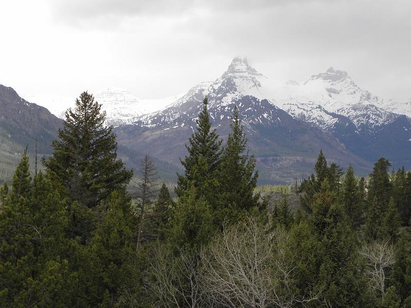 P5310568.JPG