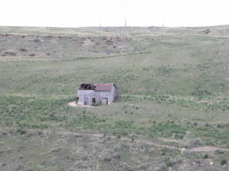 P5310646.JPG