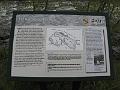 P6010658
