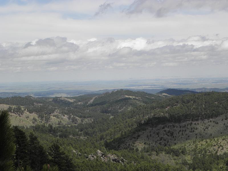 P6020850.JPG