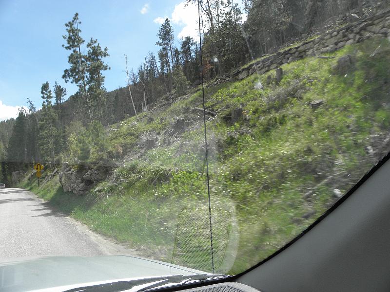 P6020873.JPG