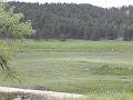 P6020818