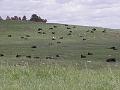 P6020820