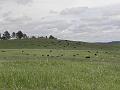 P6020823