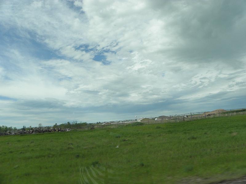 P6041034.JPG
