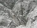 P6030957