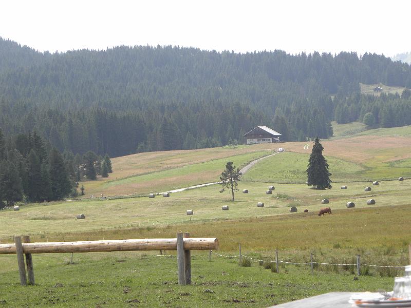 P8030059.JPG