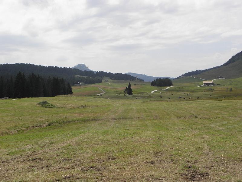 P8030064.JPG