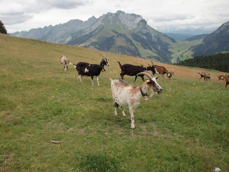 France_2011_068.JPG