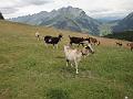 France_2011_068