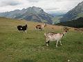 France_2011_069