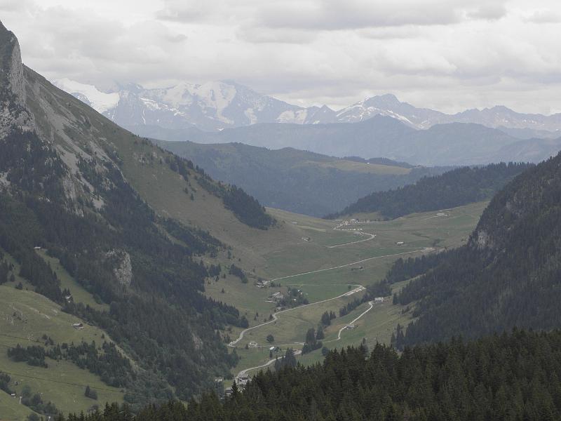 P8060147.JPG