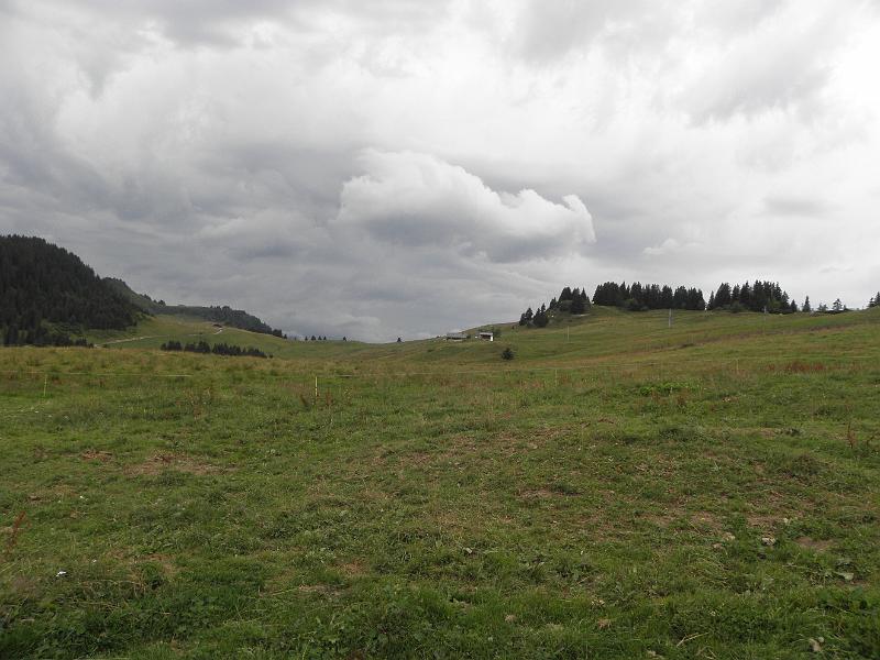P8060152.JPG
