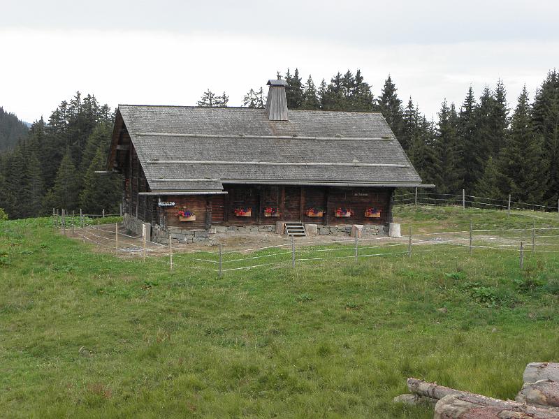P8060166.JPG