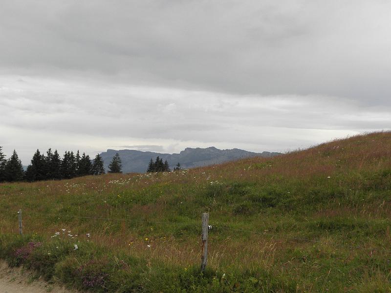 P8060170.JPG