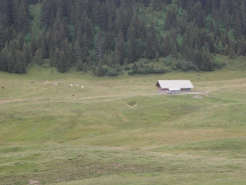 P8060171.JPG