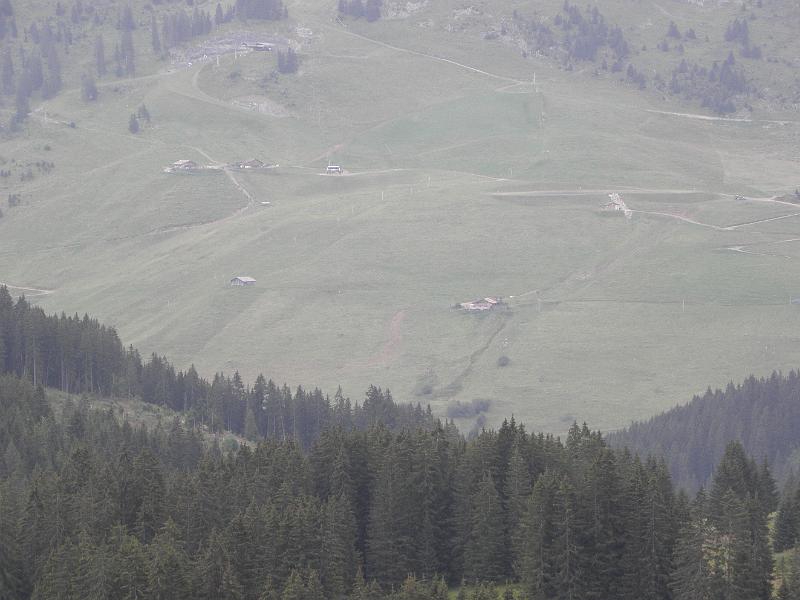 P8060174.JPG