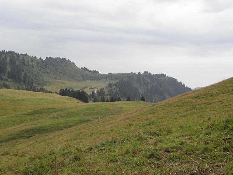 P8060179.JPG