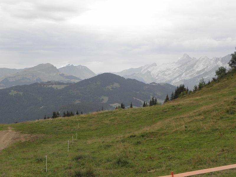 P8060186.JPG