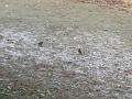 IMG_20170122_103904