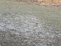 IMG_20170122_103922