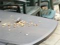 IMG_20170123_105140